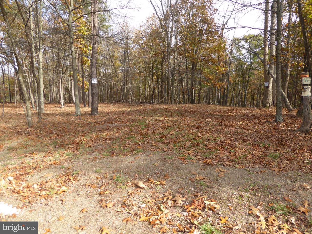 LOT 6 Noland Ridge Road - Photo 1