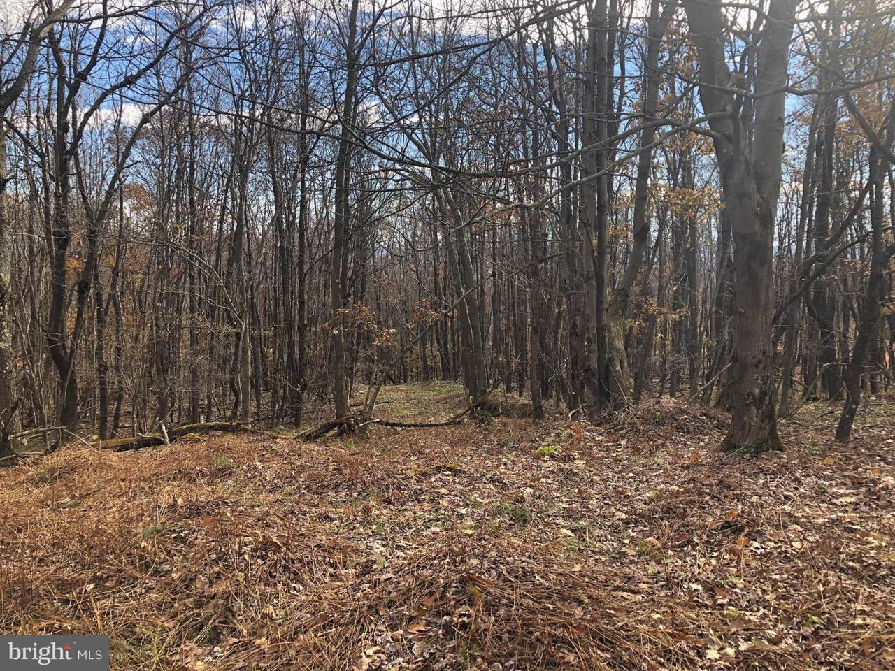 Lot 164 Shawnee View Road - Photo 1