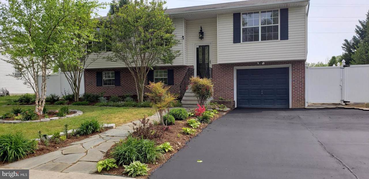 29233 Corbin Parkway - Photo 1