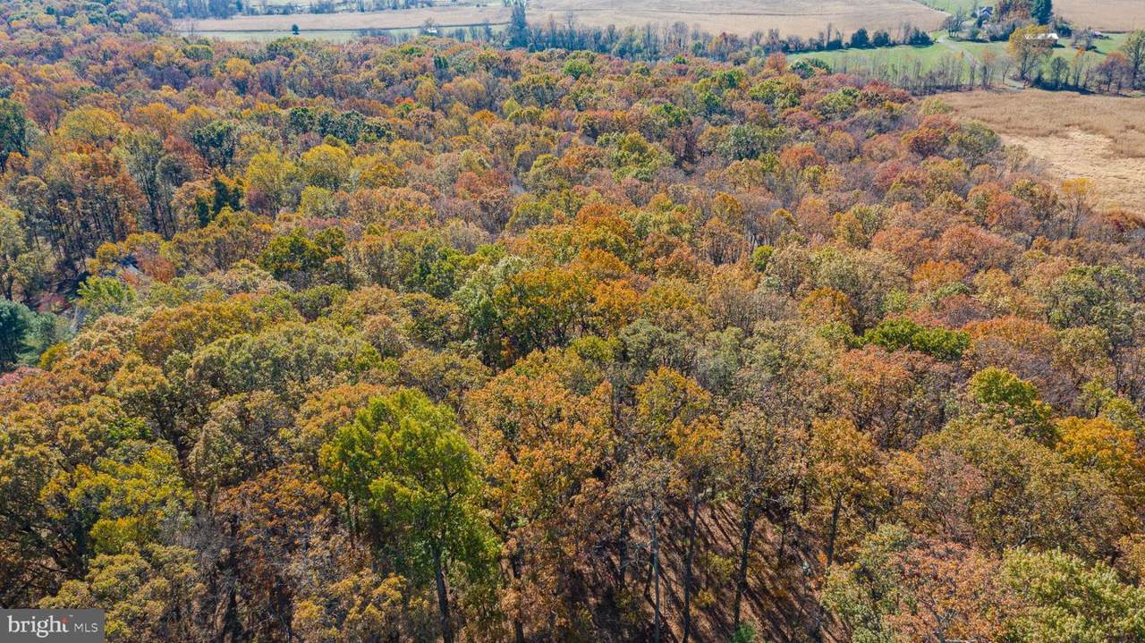 4365 Maisel Farm Lane - Photo 1