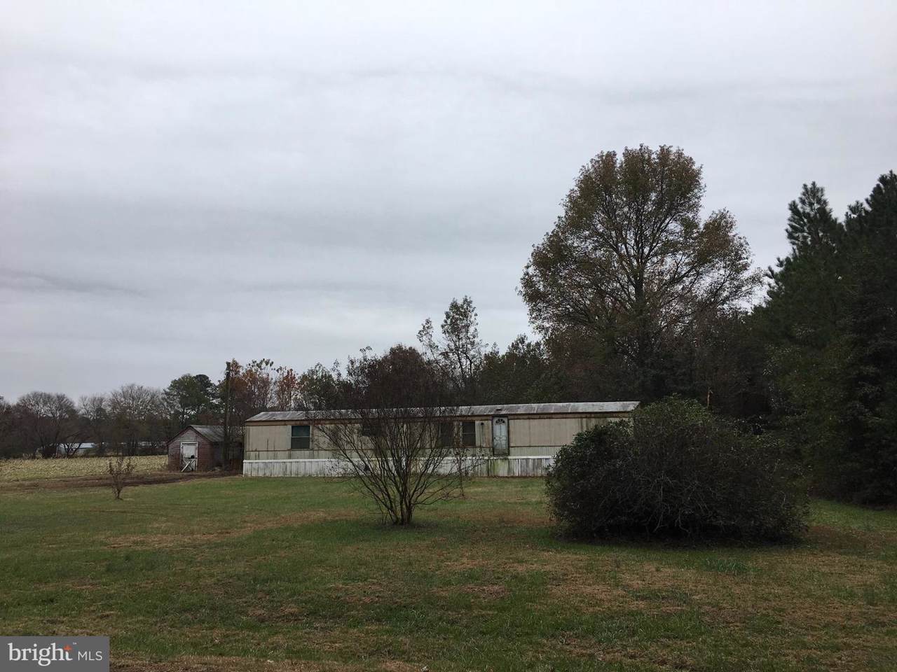 31461 Melson Road - Photo 1