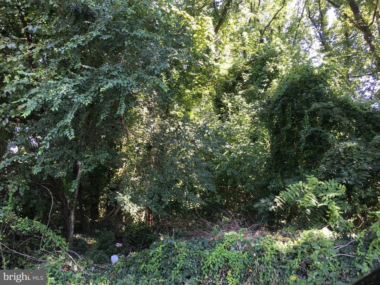 Sherman Avenue - Photo 1