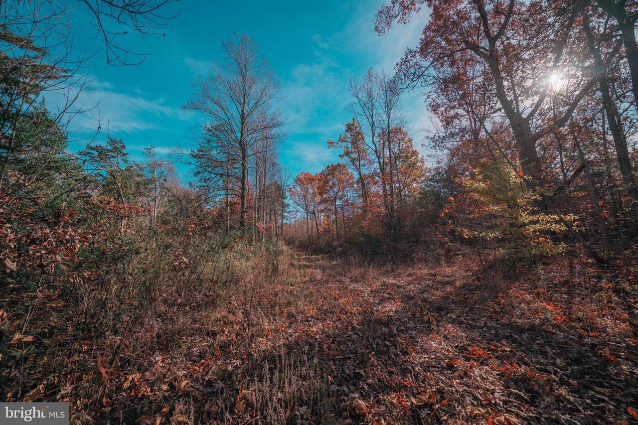 Off Of Rt 33 / Spotswood Trail - Photo 1