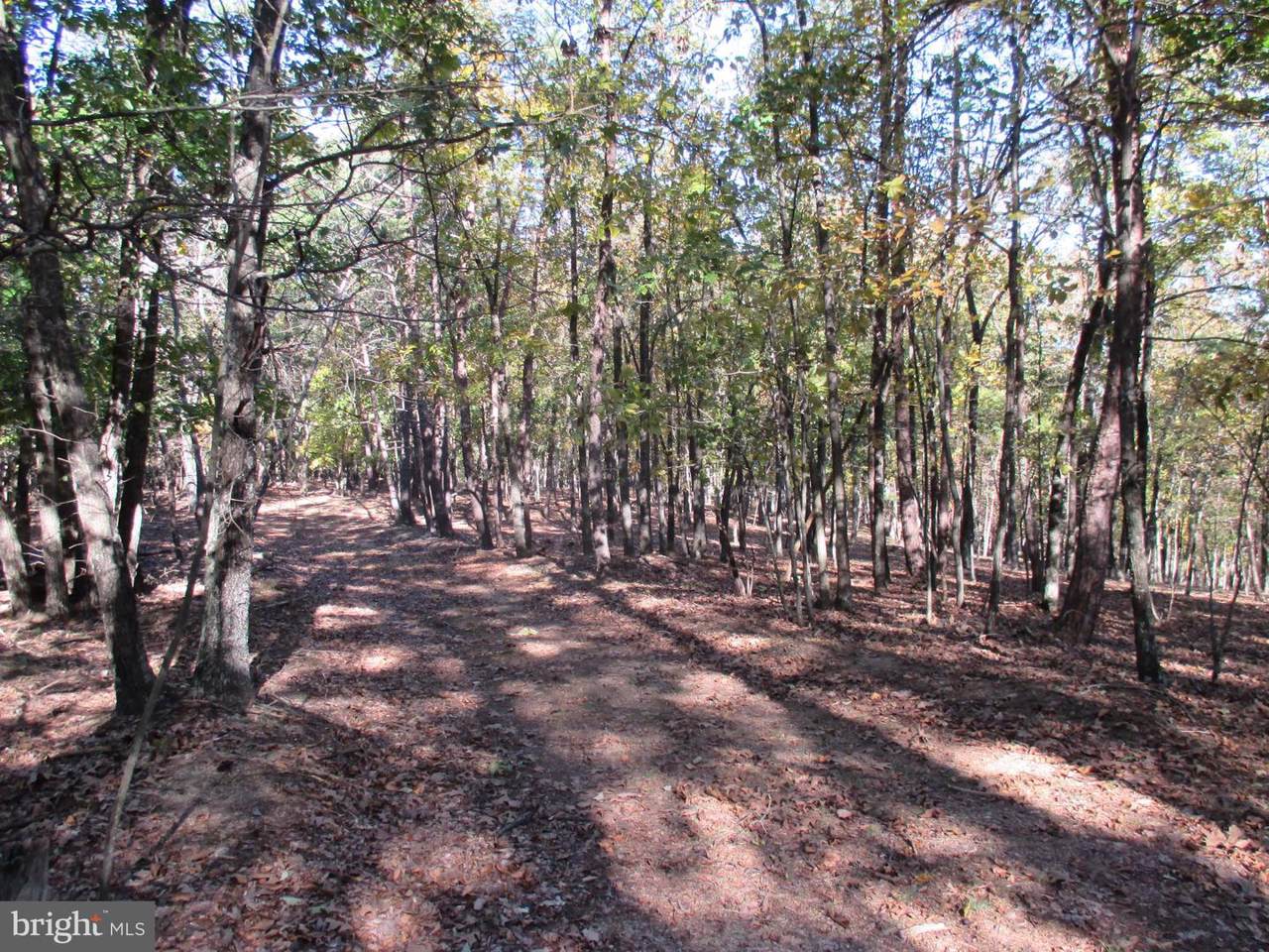 Off River Road - Photo 1