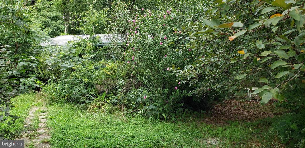 232 Chambers Lane - Photo 1