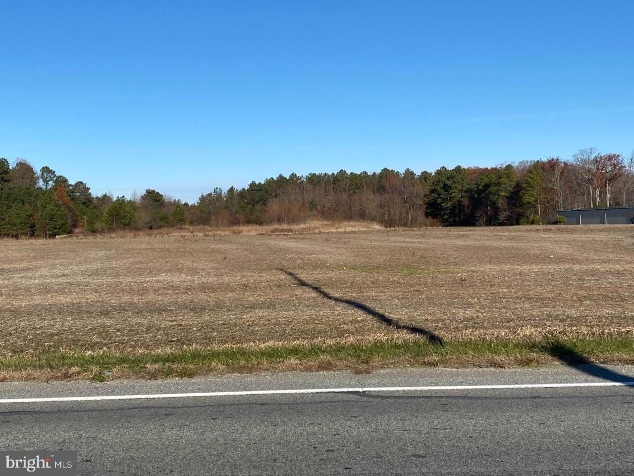 300 Lafferty Lane - Photo 1
