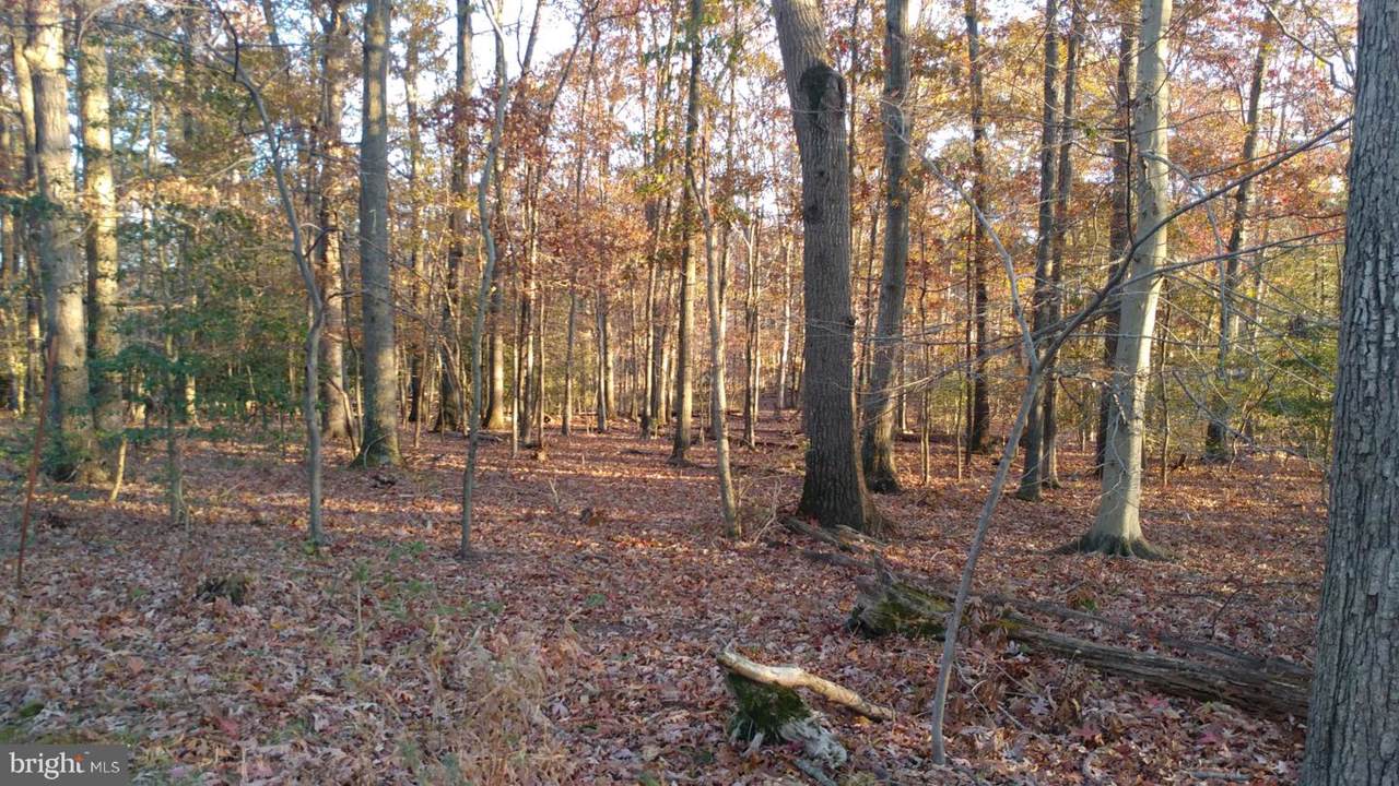 16106 Bealle Hill Road - Photo 1