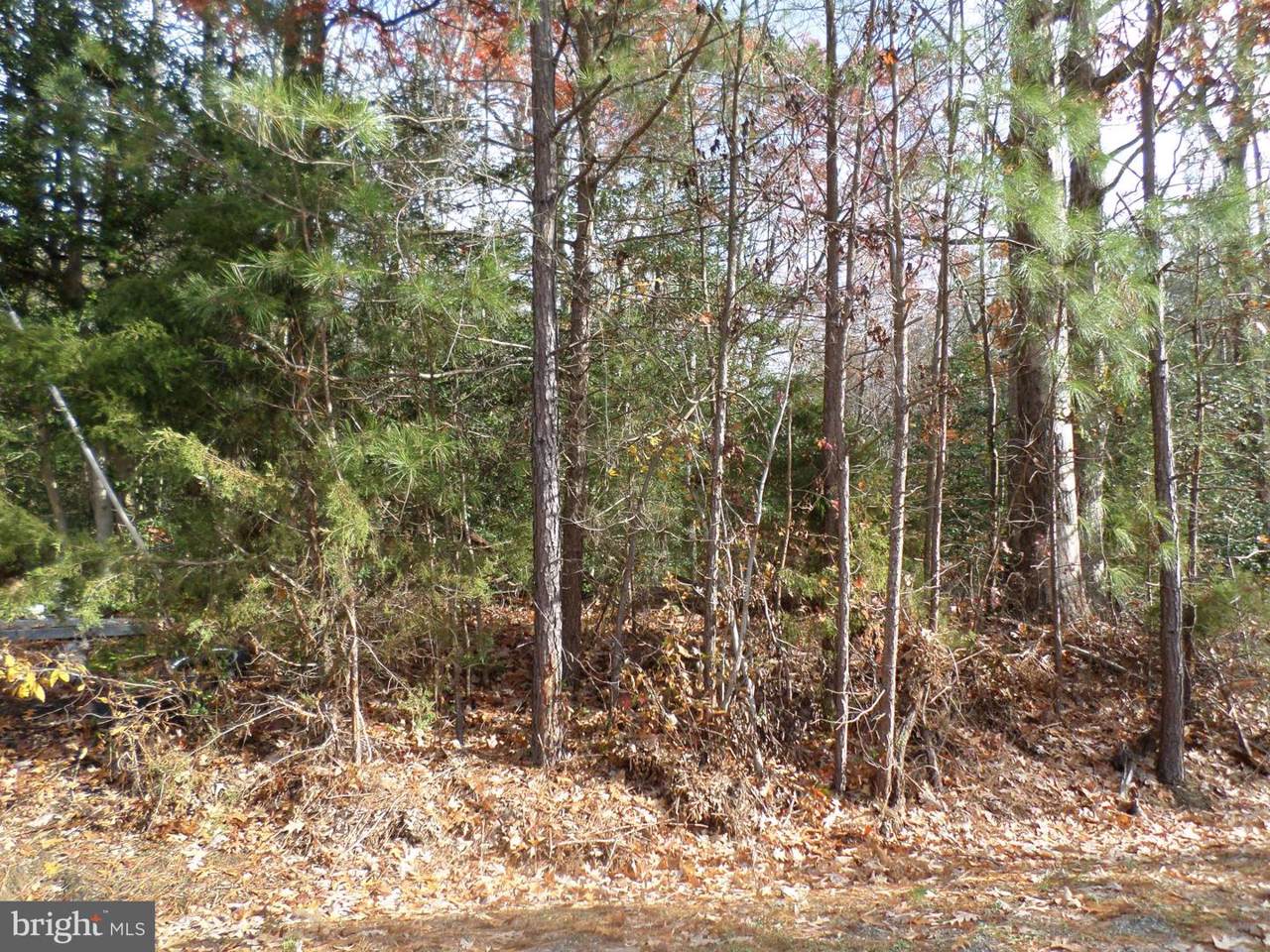 Monroe Blvd - Photo 1