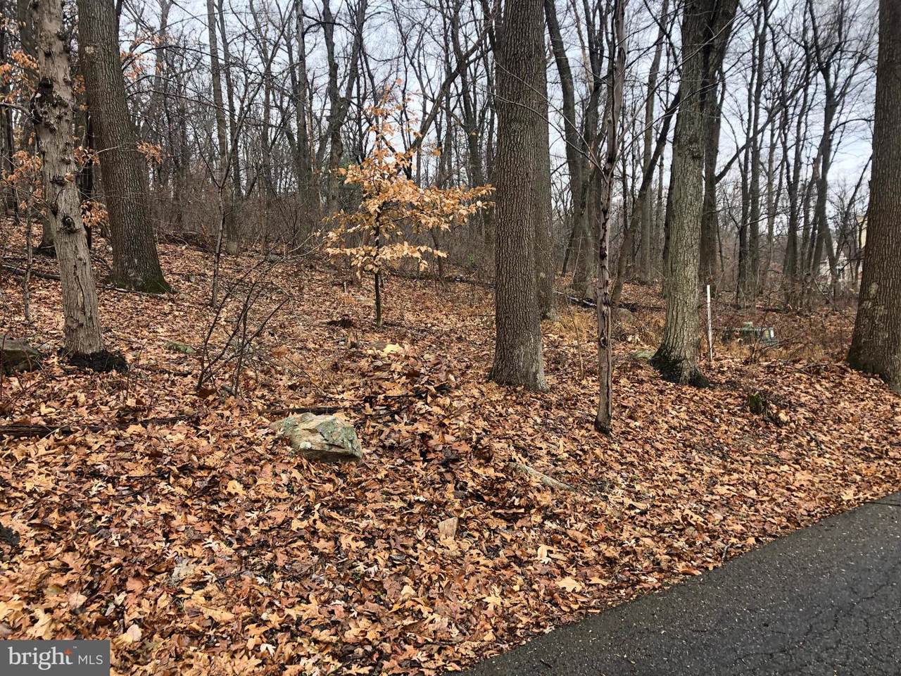 Lot 16 Wild Forest Drive - Photo 1
