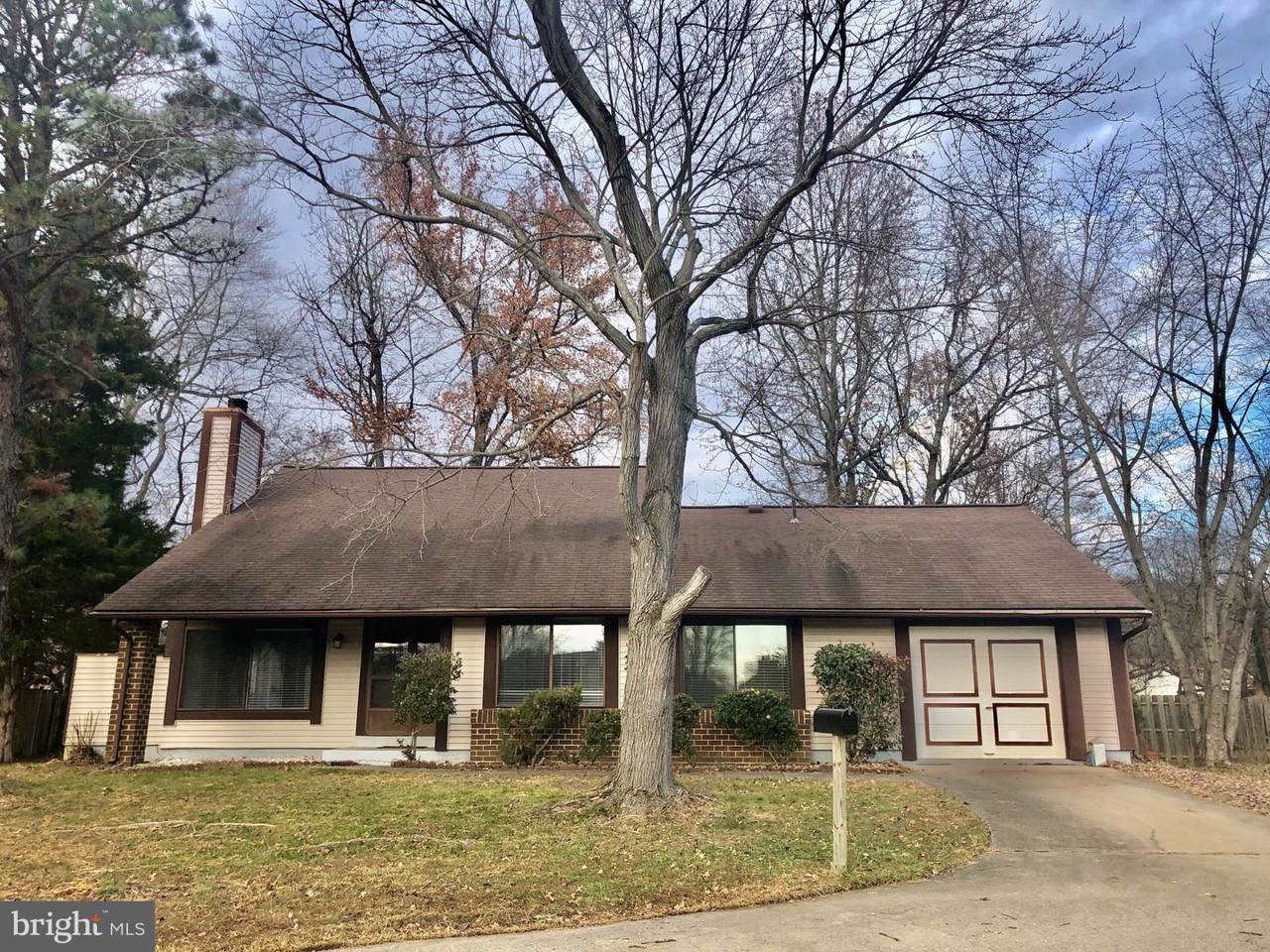 6905 Lichen Court - Photo 1