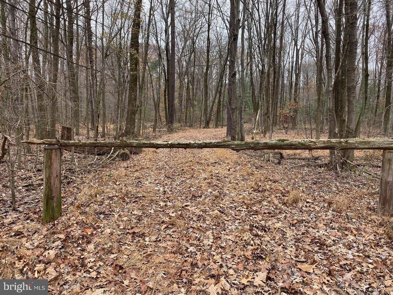 149 Bloody Spring Road - Photo 1