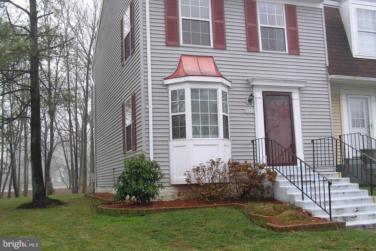 8543 Braxted Lane - Photo 1