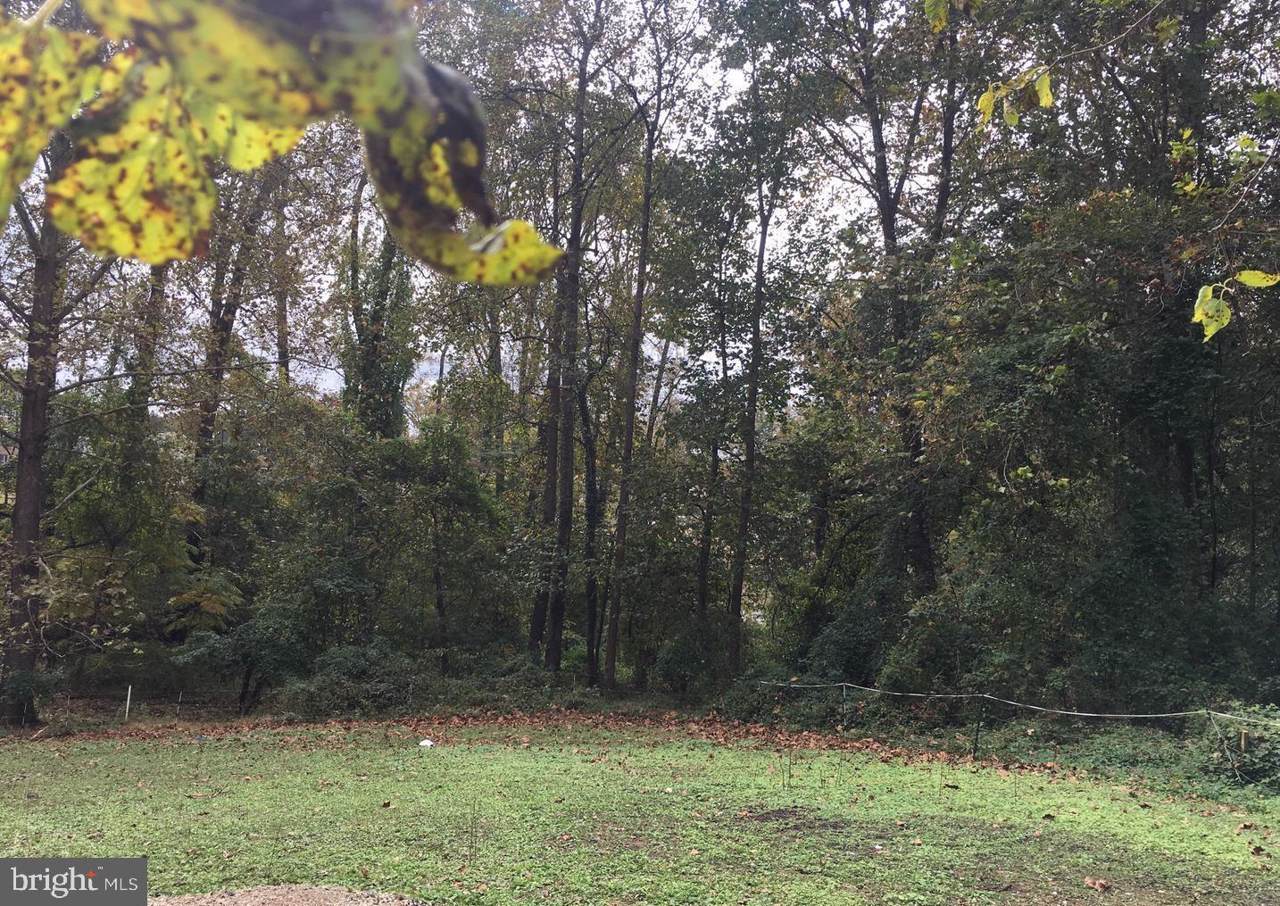 53-1 Joyce Lane - Photo 1