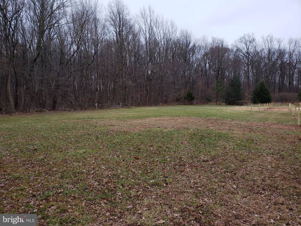 10635 Bethel Road - Photo 1