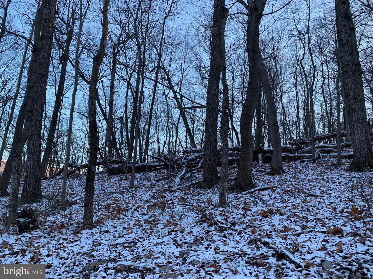 Timberline Ridge Road - Photo 1