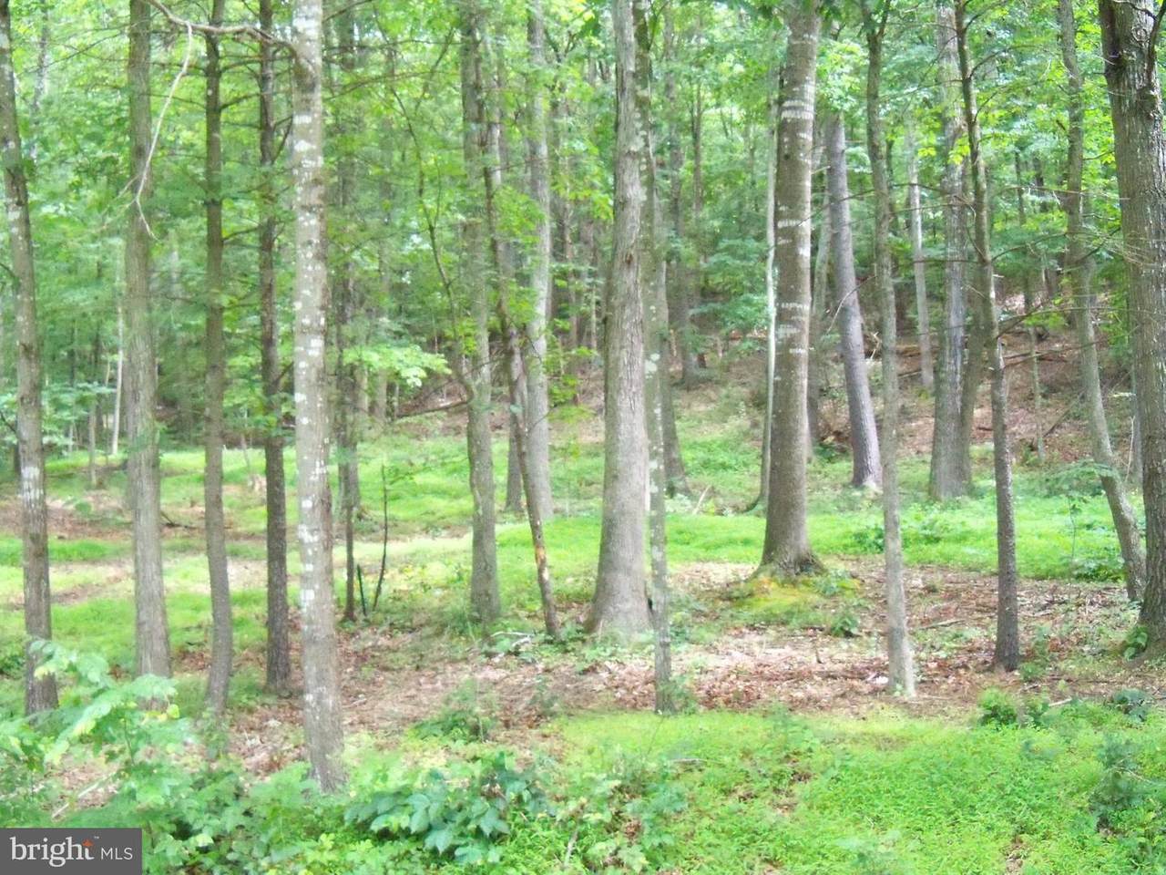 Lot 198 Johnston Street - Photo 1