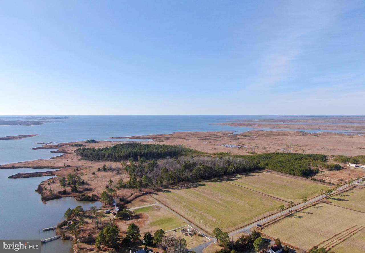 0 Crab Island Road - Photo 1