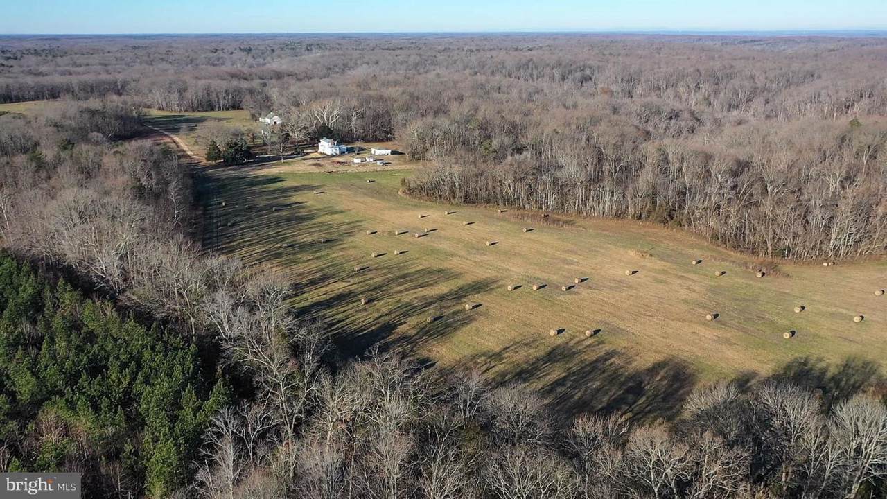 22335 Hicks Landing Road - Photo 1