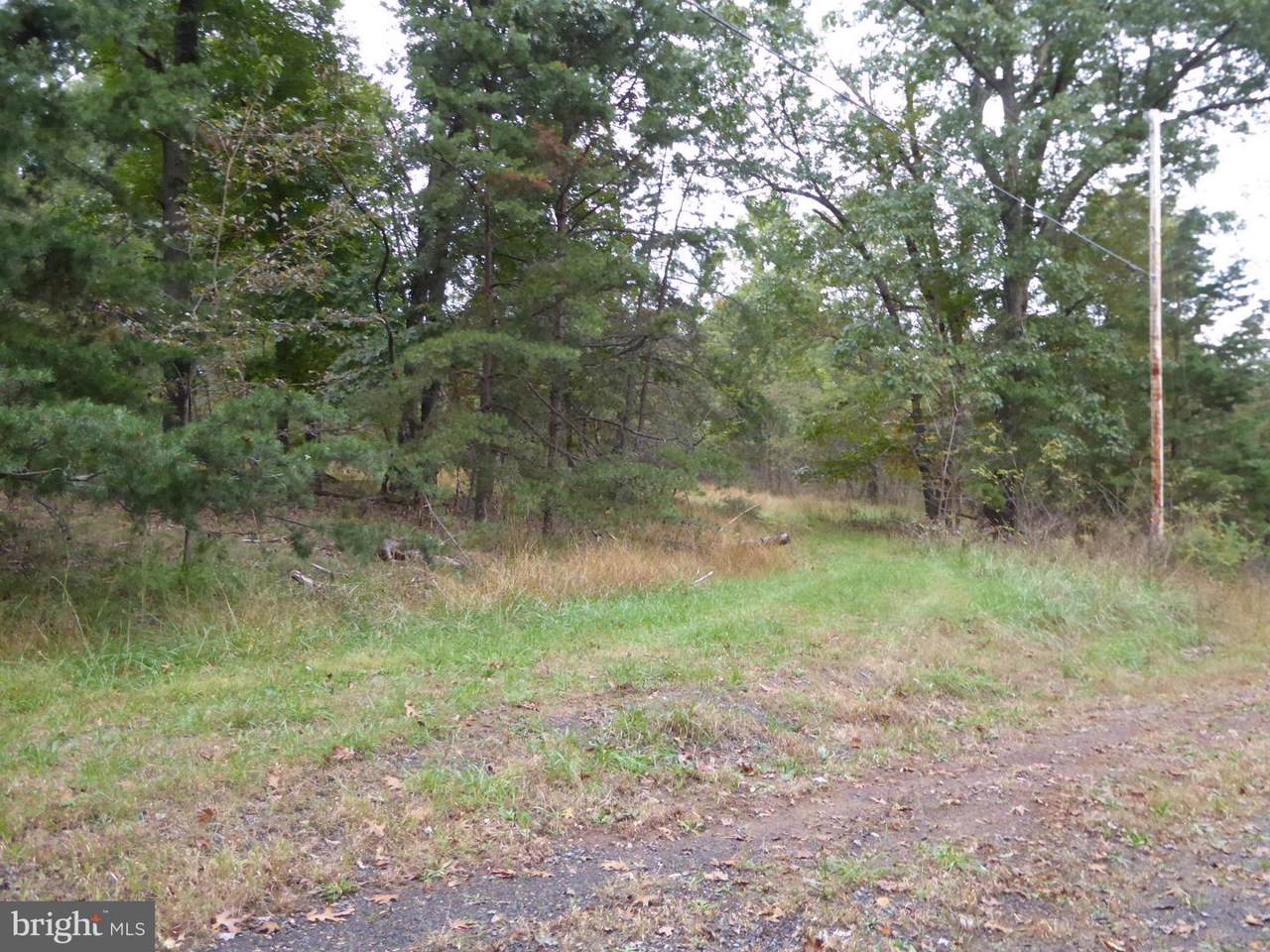 Hickory Point Ridge - Photo 1