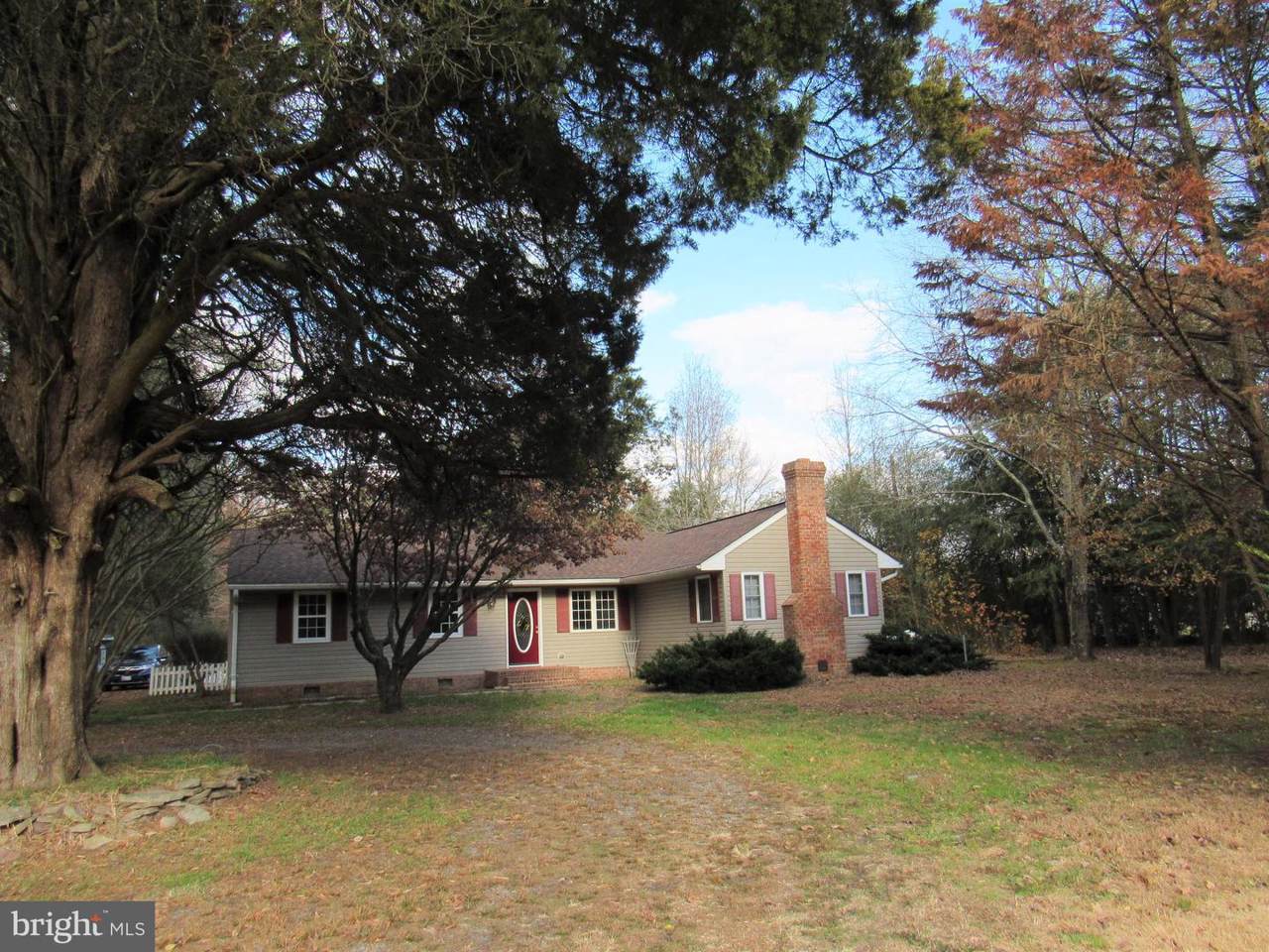 31686 Dagsboro Road - Photo 1