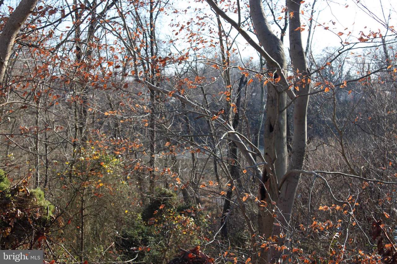 Patuxent River - Photo 1