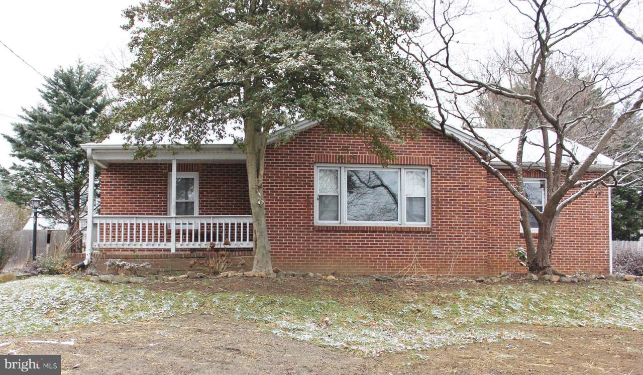 17 Buckley Avenue - Photo 1