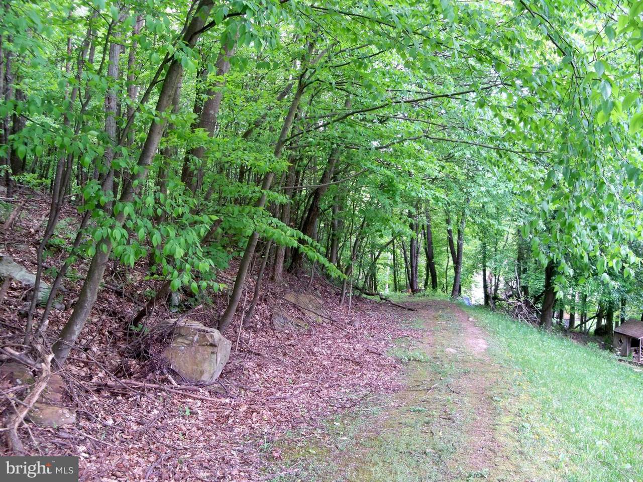 Martin Hollow Road - Photo 1