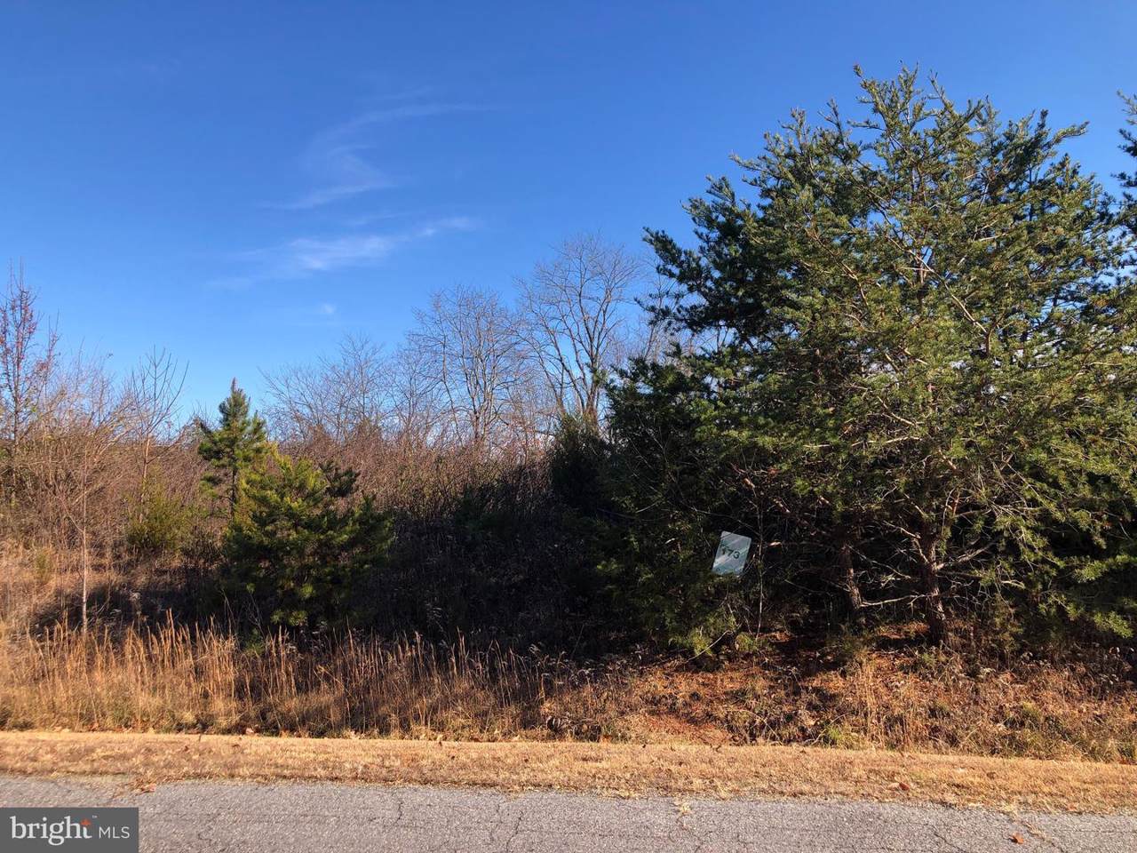 5507 Dogwood Tree Lane - Photo 1