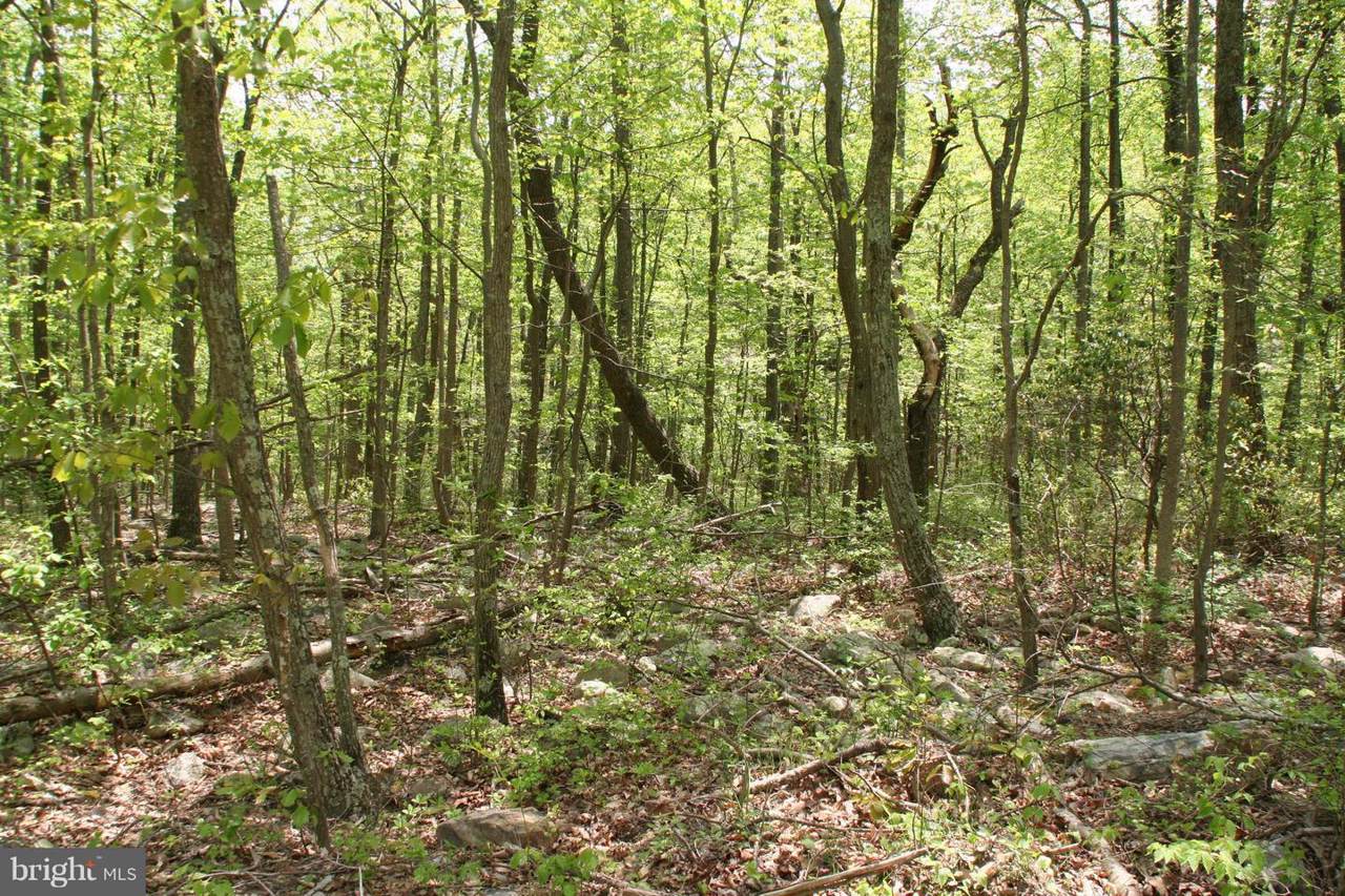 517 Puma Trail - Photo 1