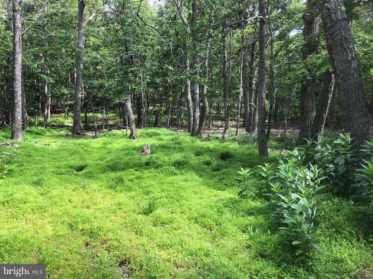 LOT 42, 43 Eagles Nest Lane - Photo 1