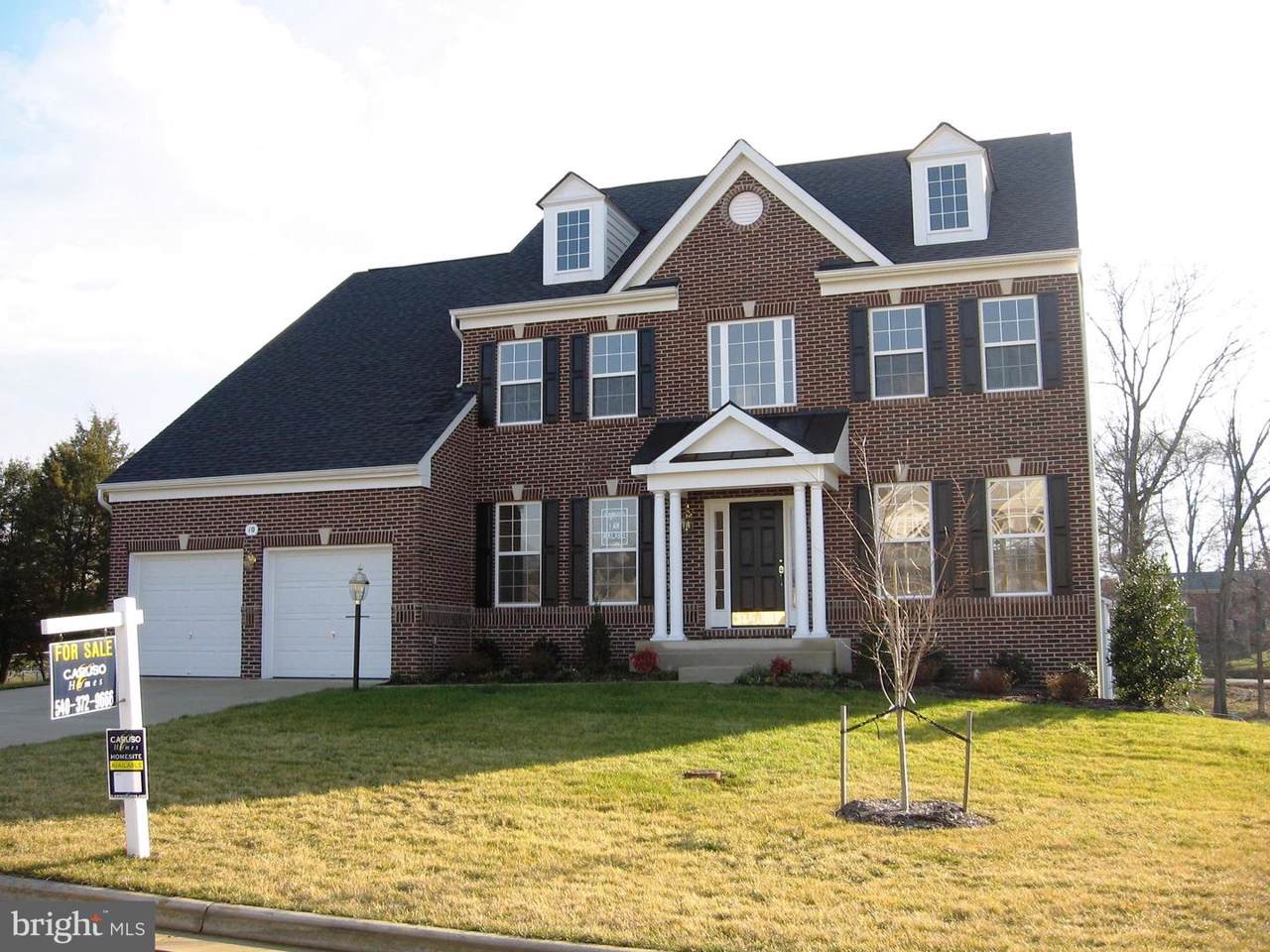 10104 Bright Leaf Way - Photo 1