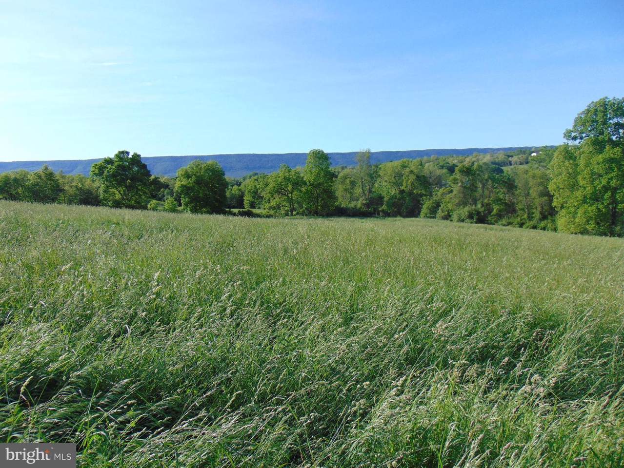 Whiskey Run Road - Photo 1