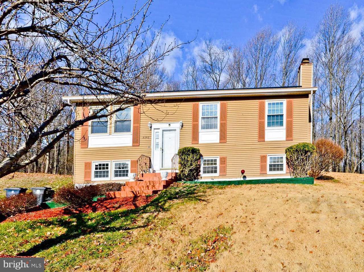 8202 Bridlewood Place - Photo 1