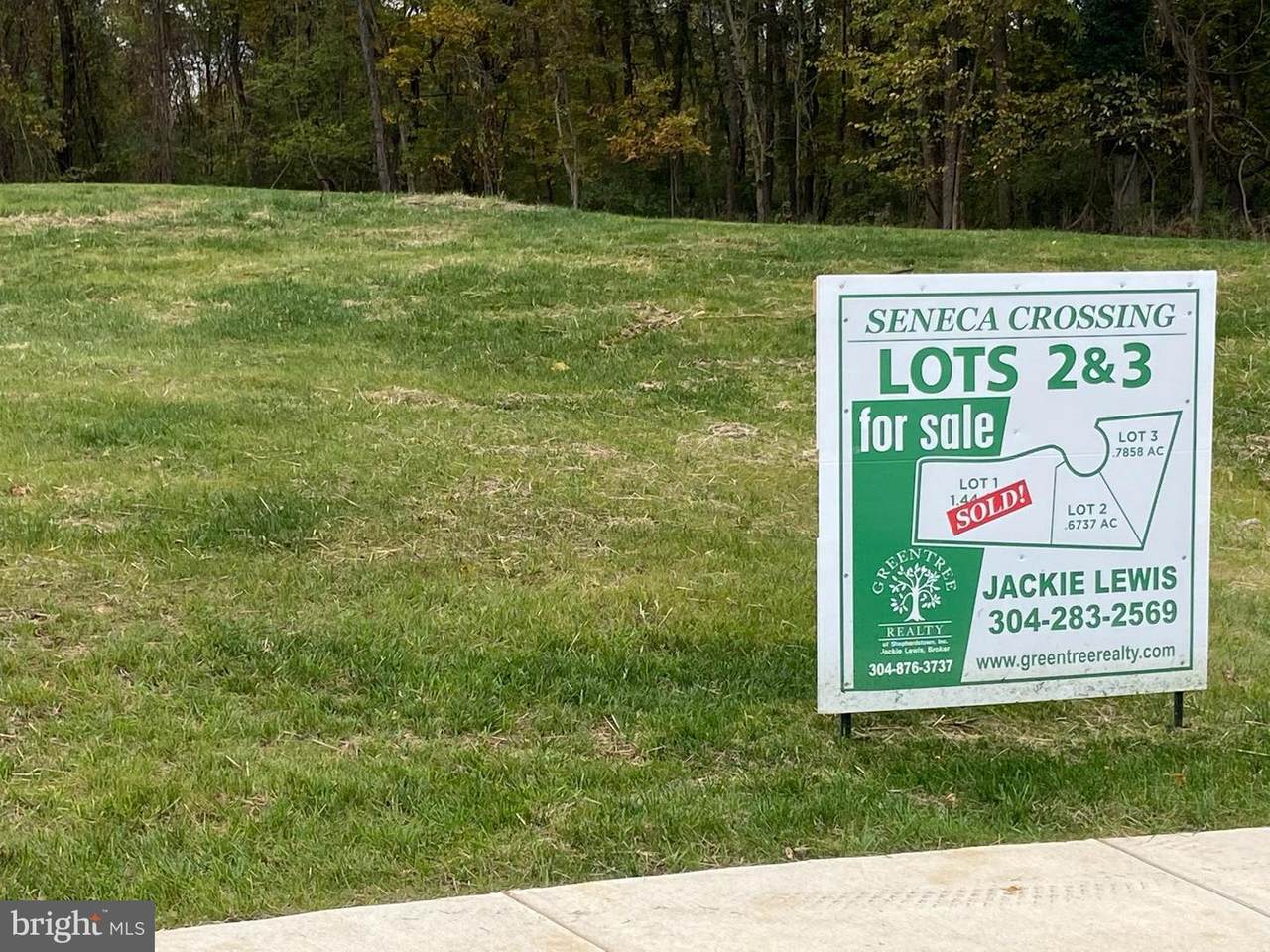 Lot 2 Martinsburg Pike - Photo 1