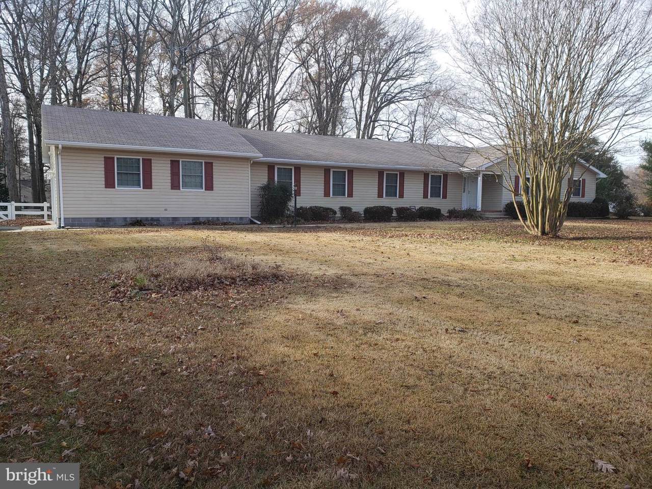 10446 Orly Drive - Photo 1