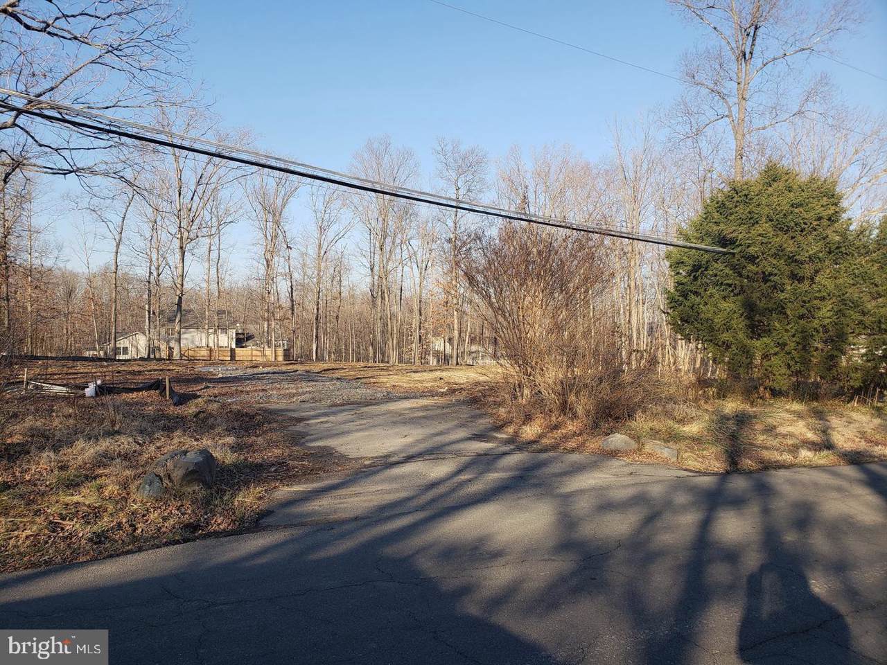 12538 White Drive - Photo 1