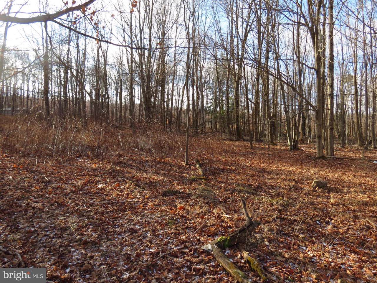 2 Bismark Road - Photo 1