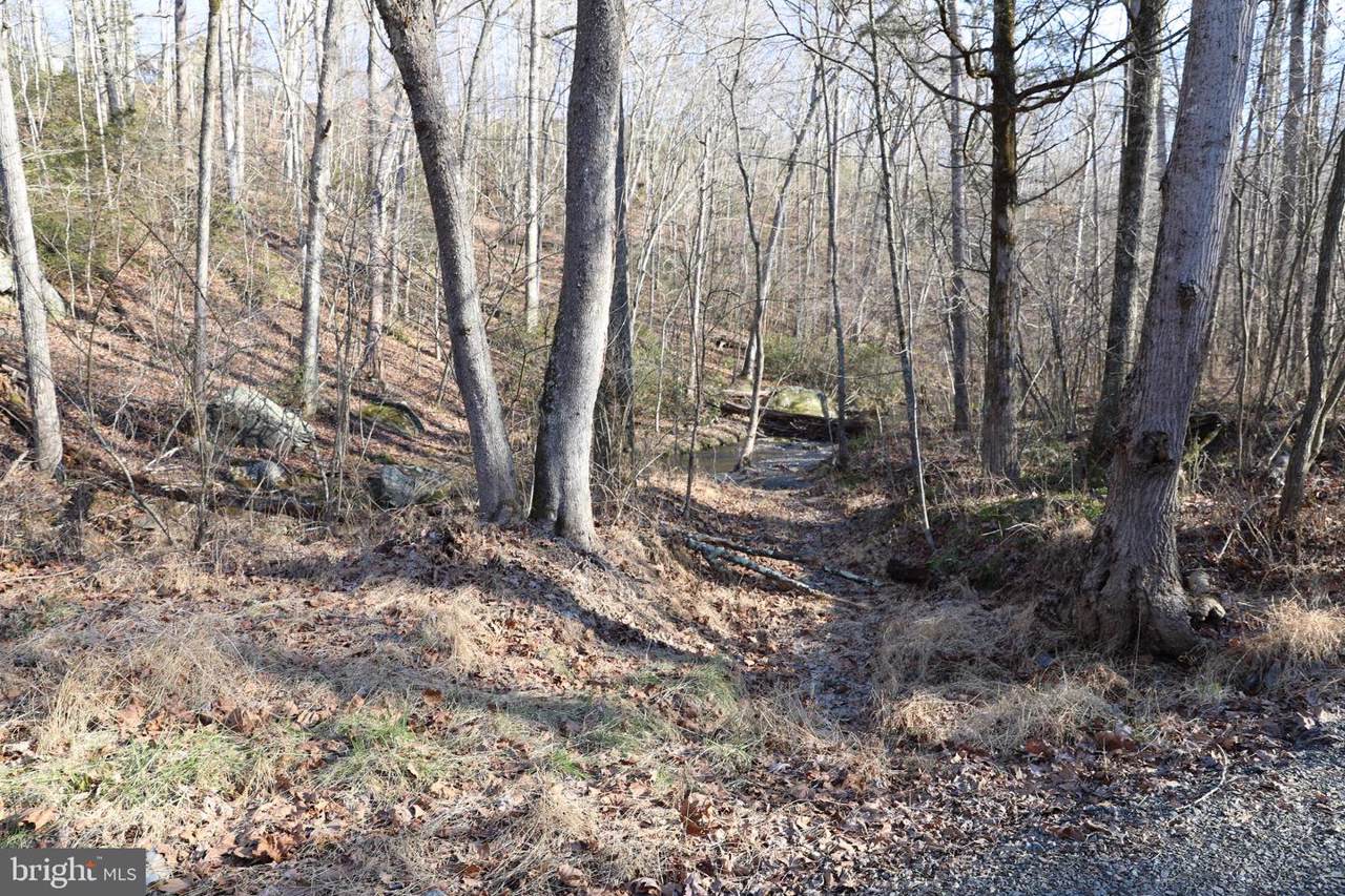 Cabin Branch - Photo 1