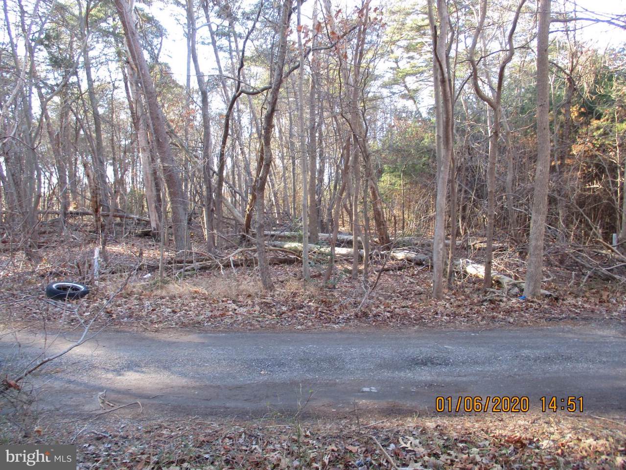 Arundel Avenue - Photo 1