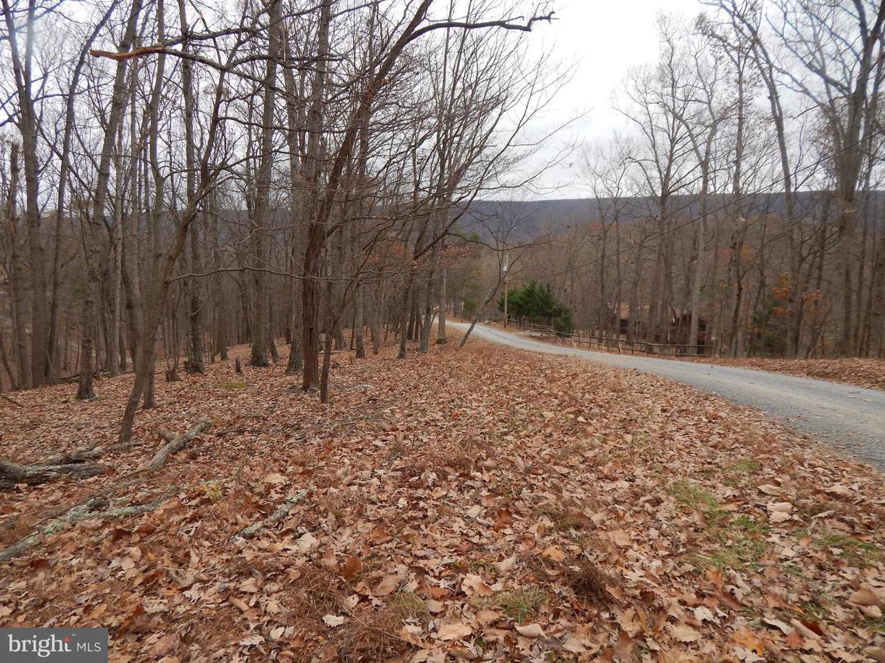 Pioneer Trail - Photo 1