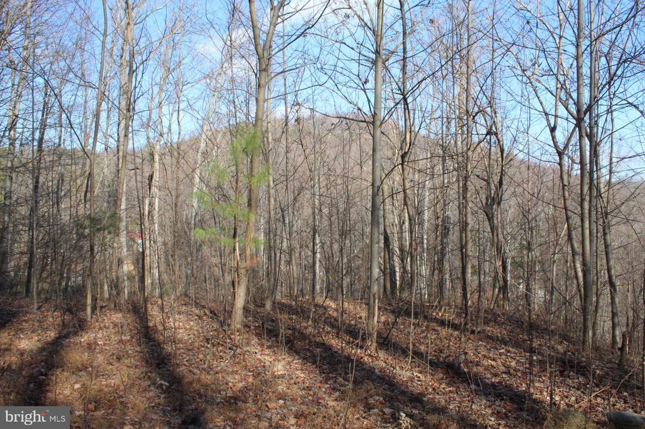 0 Greene Acres Rd S - Photo 1