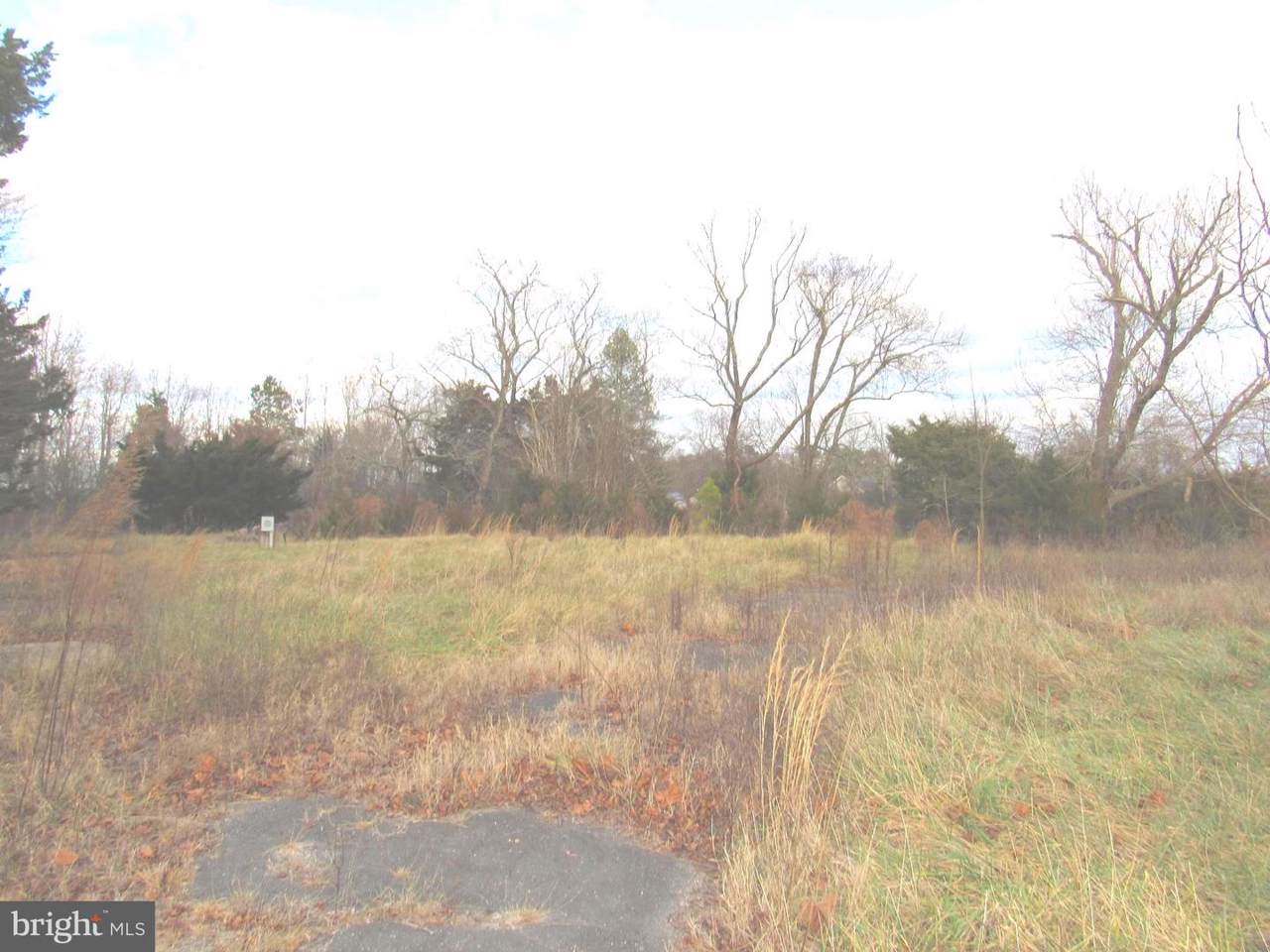 34167 Daisey Road - Photo 1