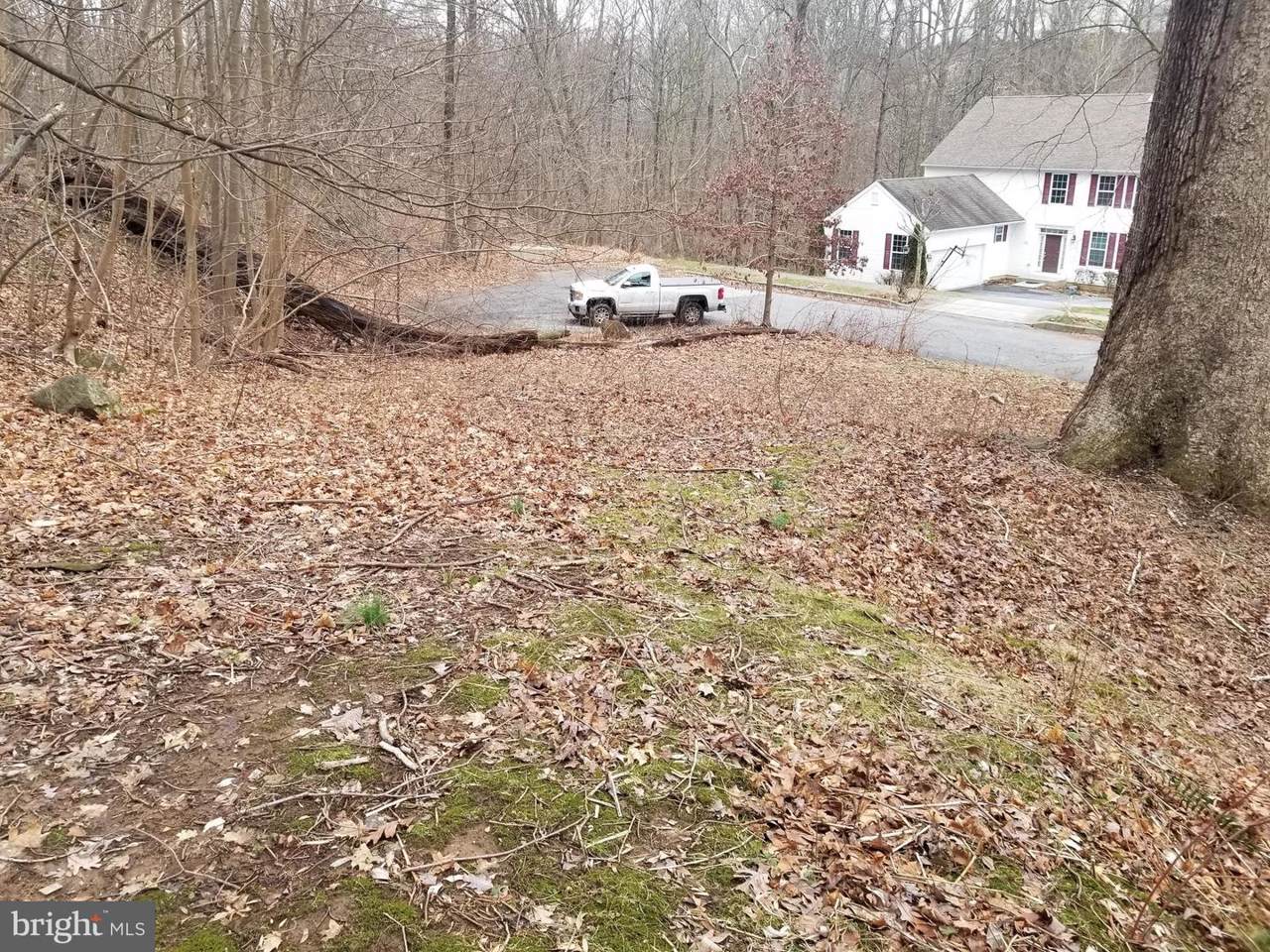 Maple Lane - Photo 1