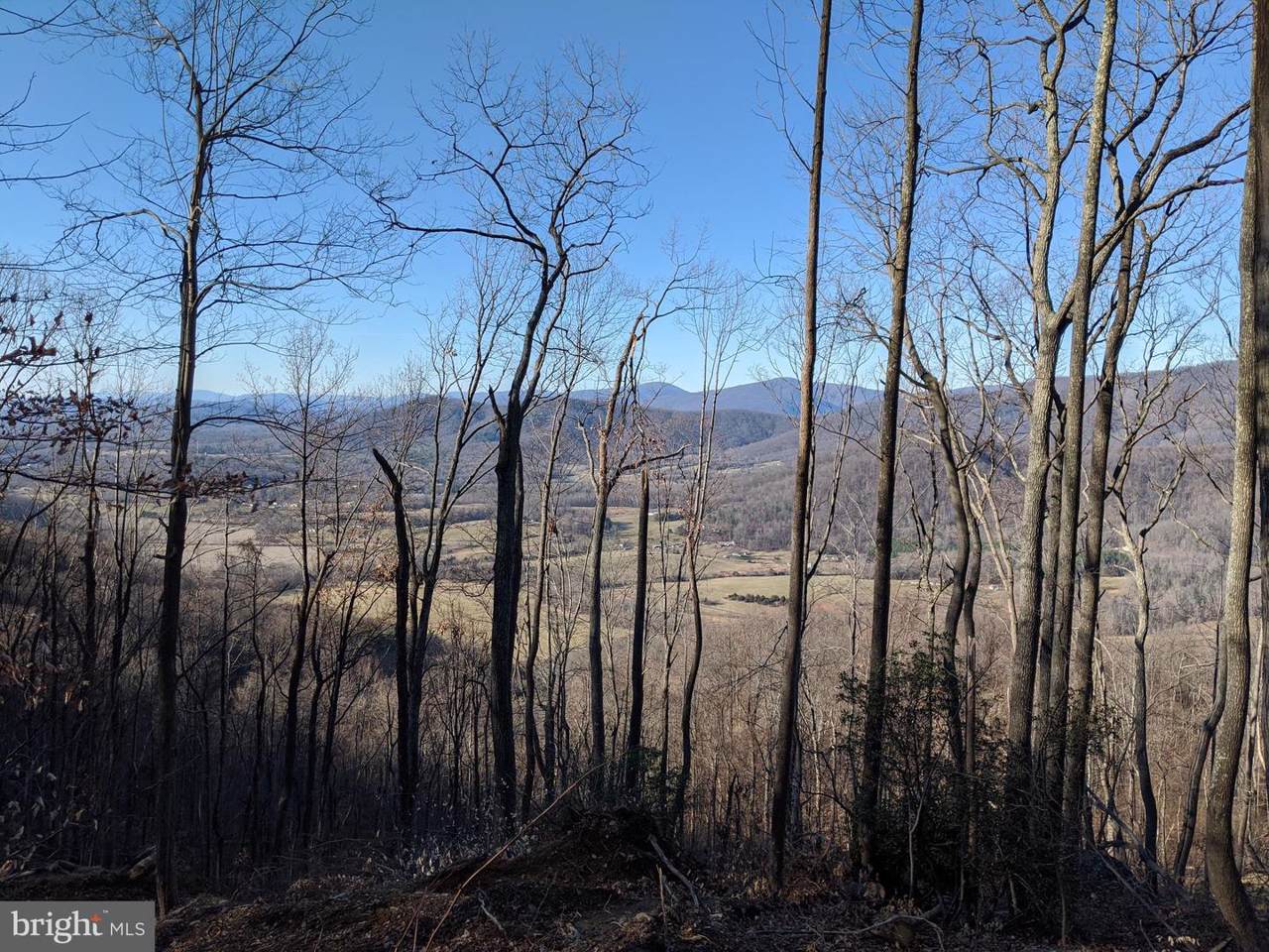 Graves Mill Road - Photo 1