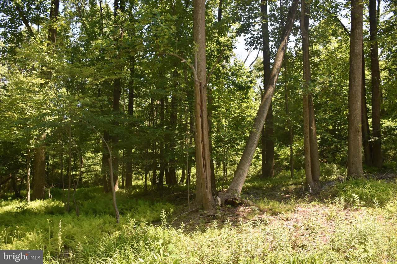 306 Sioux Drive - Photo 1