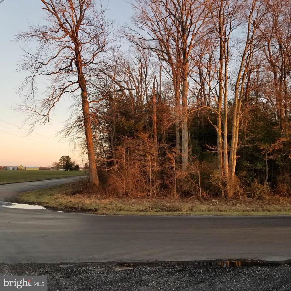 Lot 1 Sunset Avenue - Photo 1 Lot 1 Sunset Avenue - Photo 1