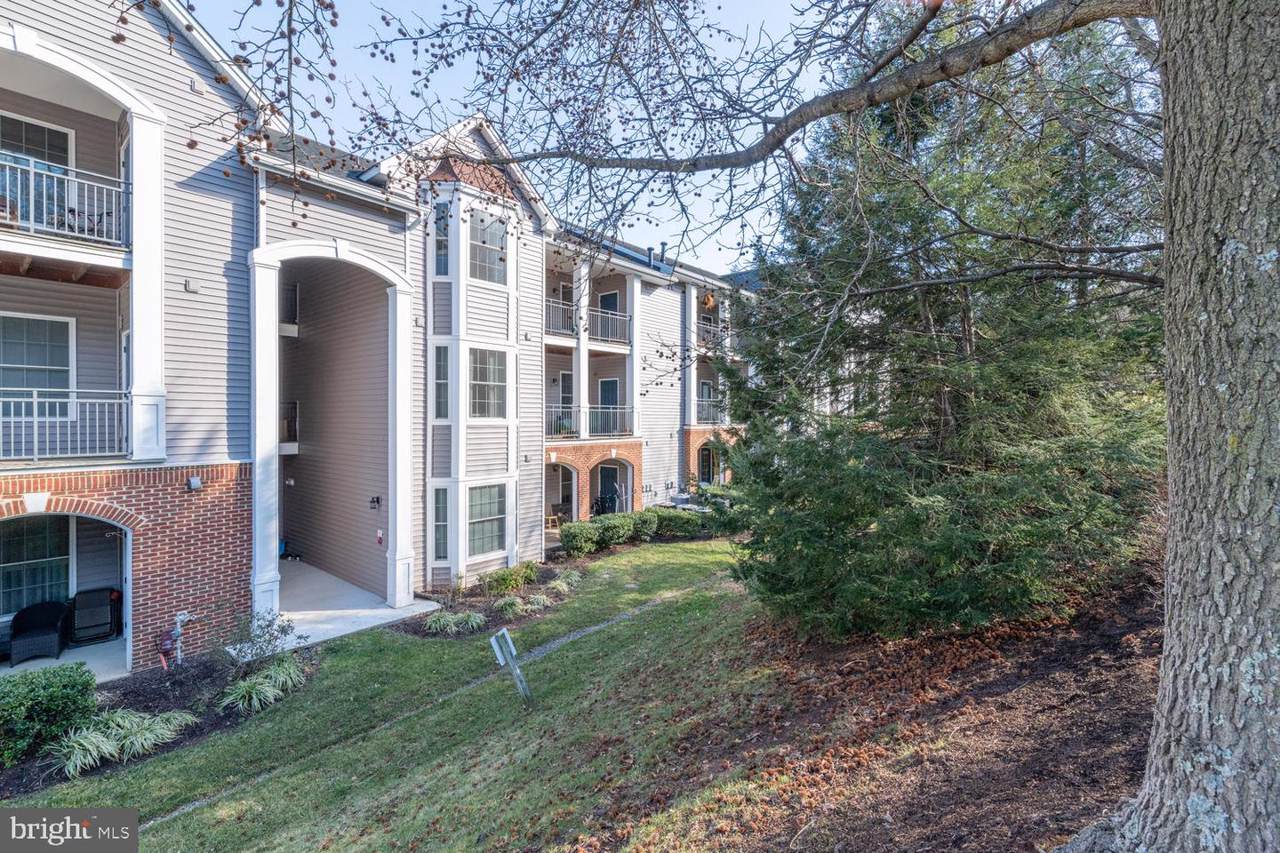 20451 Chesapeake Square - Photo 1