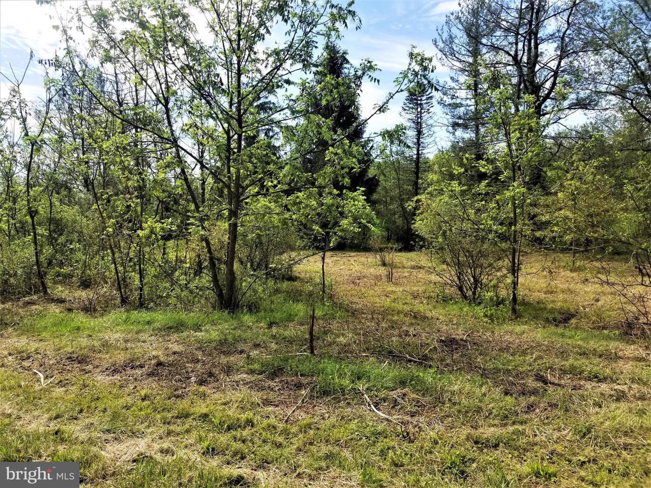 Lot # 4 Blue Church Road - Photo 1