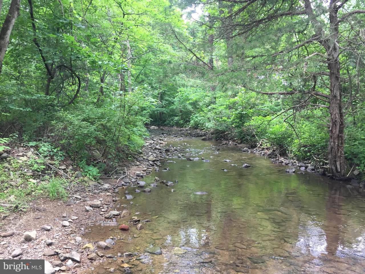 Gooney Manor Loop - Photo 1