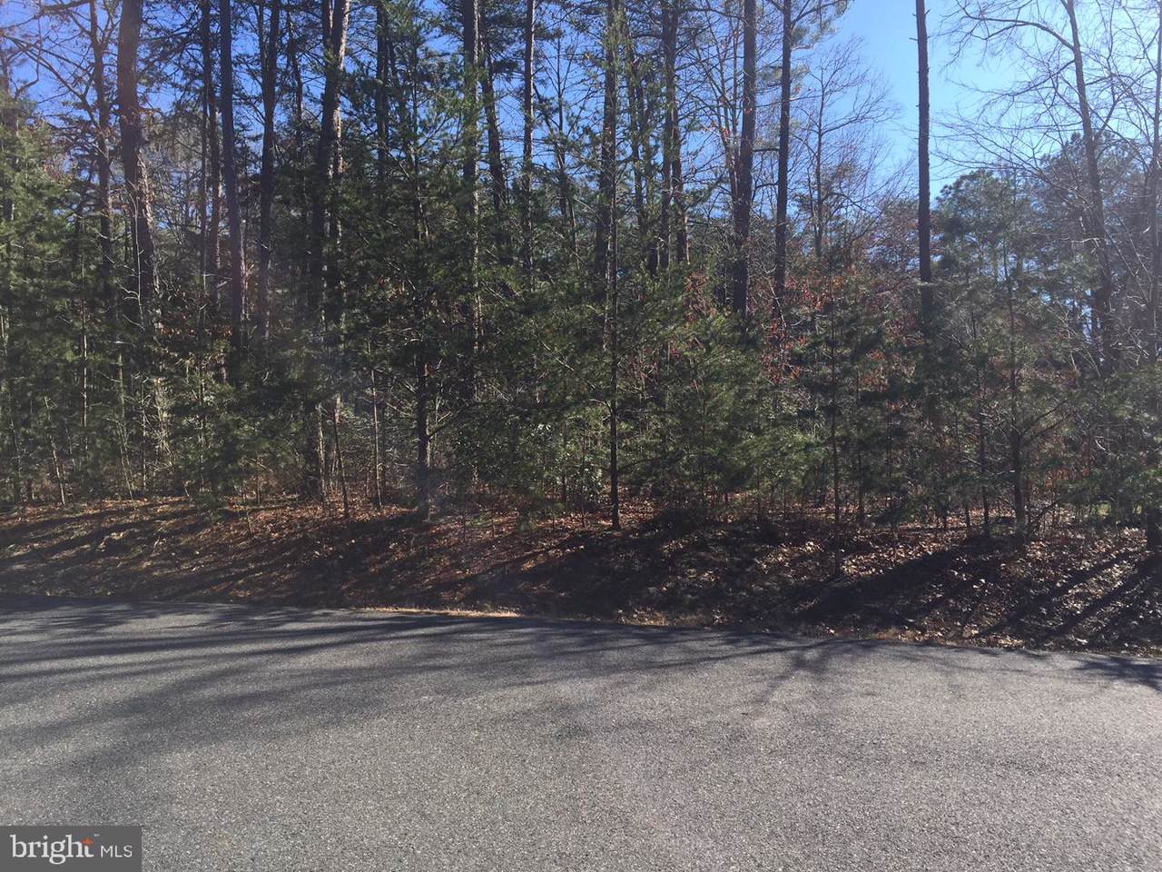 11814 Fawn Lake Parkway - Photo 1